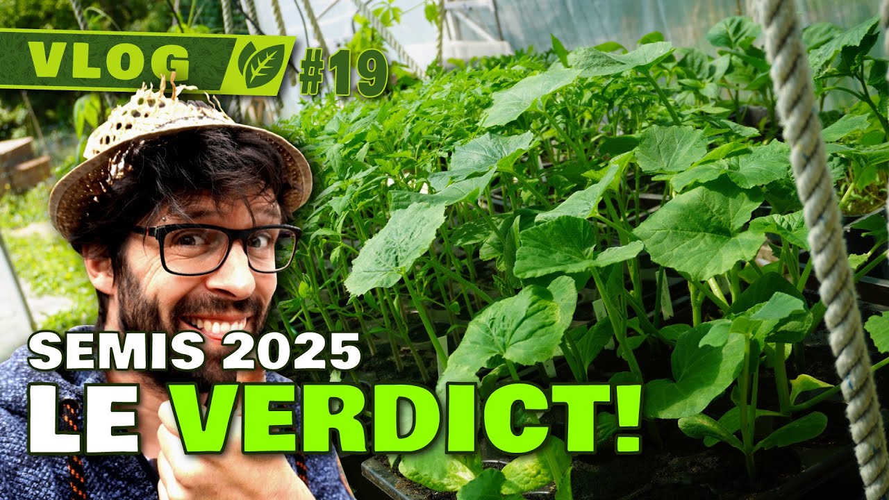 🌱 Semis 2025 : Le Grand Verdict ! (Bilan & Astuces)
