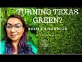 Turning Texas GREEN?