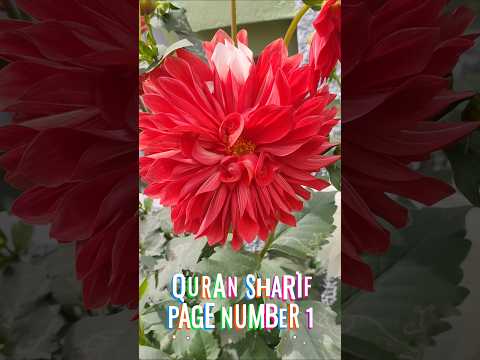 Quran Sharifpage number 1 #quotes #quran #QuranSharif #pagenumber1 #allah #zxsameem #islamicvideo