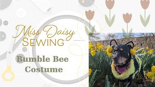 Absolutely Buzzing about this Bumble Bee Costume