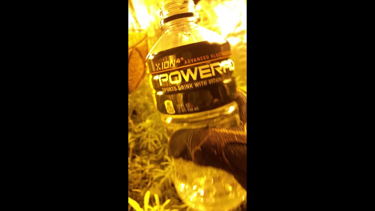 Steroid your cannabis with dry ice