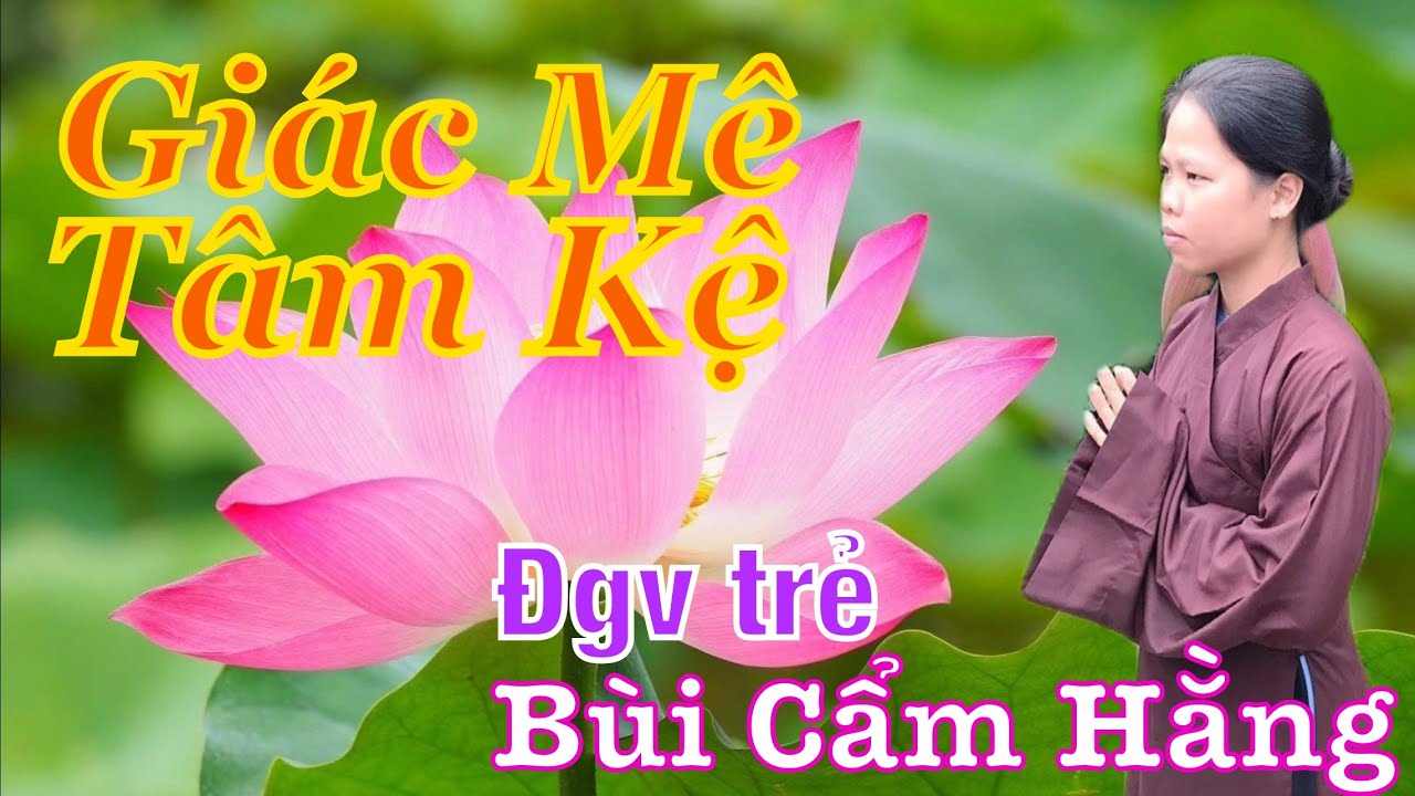 Shorts Youtube GIÁC MÊ TÂM KỆ đgv Bùi Thị Cẩm Hằng phụng ngâm