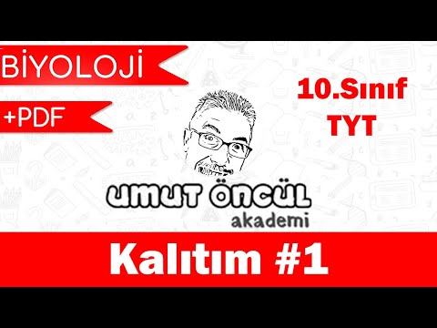 Biyoloji | 10.Sınıf | Kalıtımın Genel İlkeleri | TYT | Kalıtım #1 | +PDF