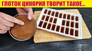 Вот что Творит Цикорий, если пить Каждый день (Впечатляет)