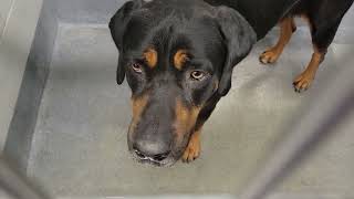 acs A644326