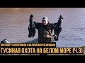 Гусиная охота на Белом море (3 серия)  / Про охоту и охотников с Валерием Кузенковым. Сезон 1