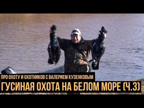 Гусиная охота на Белом море (3 серия)  / Про охоту и охотников с Валерием Кузенковым. Сезон 1