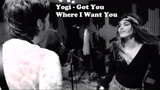 Watch Yogi Got You Where I Want You feat Sharlotte Gibson video