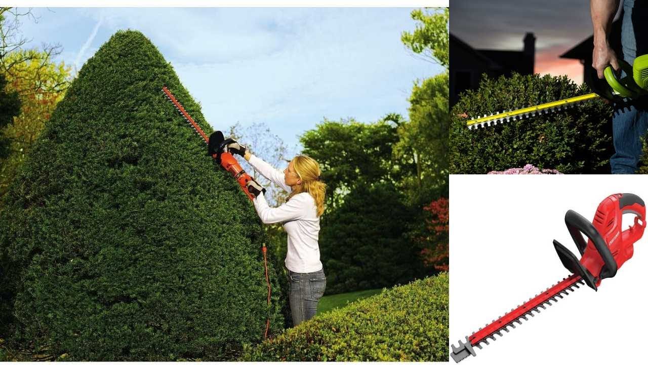 Best Hedge Trimmers 2024 - YouTube