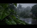 Heavy Rain for Deep Sleep, The Most Relaxing Rain Sounds