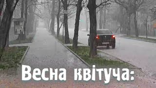 Гарний сніг! Особливо в березні... | Україна 2023