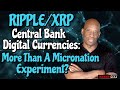 Can the US dollar be replaced by a central bank-supported digital currency?