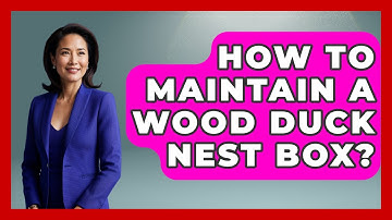 How To Maintain A Wood Duck Nest Box? - Bird Watching Diaries