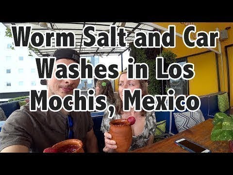 Americans Traveling in Mexico and EATING WORMS in Los Mochis, Mexico!
