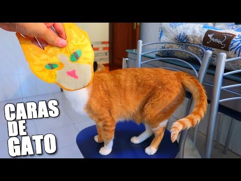 Video: Cómo hice un 180 y me convertí en una persona gato