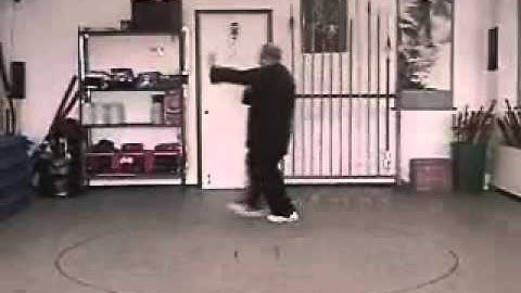 Pa Kua - Palm Changes - Swimming Body Palm - Demonstration