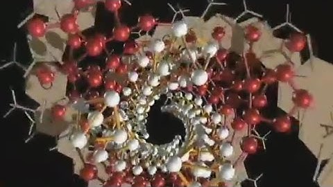 Triple Helix DNA