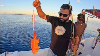 JIGGING | FISHING | MALDIVES by THE LIFE OF A FISHERMAN 🎣 534 views 1 month ago 8 minutes, 4 seconds