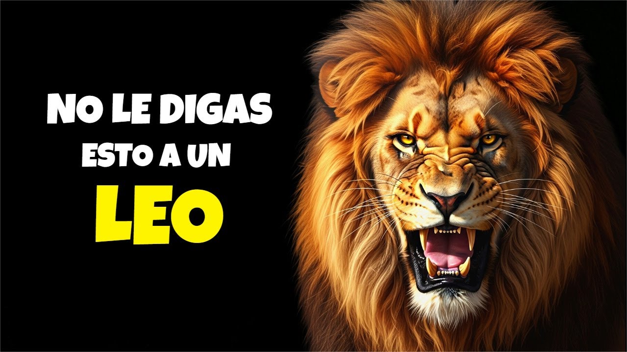 7 Frases que JAMÁS debes decirle a un Leo