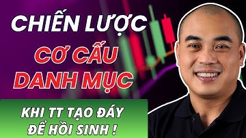 Bắt đáy cổ phiếu bài 11: Chiến lược cơ cấu DANH MỤC khi thị trường TẠO ĐÁY để hồi sinh!