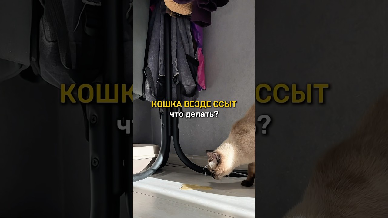 💫Ликвидатор с ВБ: 