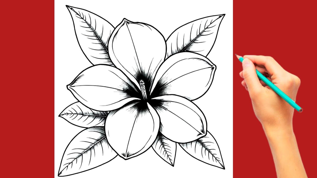 How to draw a beautiful flower with pencil , realistic shading tutorial 