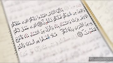 يا أيها الناس اعبدوا ربكم الذي خلقكم || سورة البقرة || القارئ الشيخ عبد الولي الأركاني