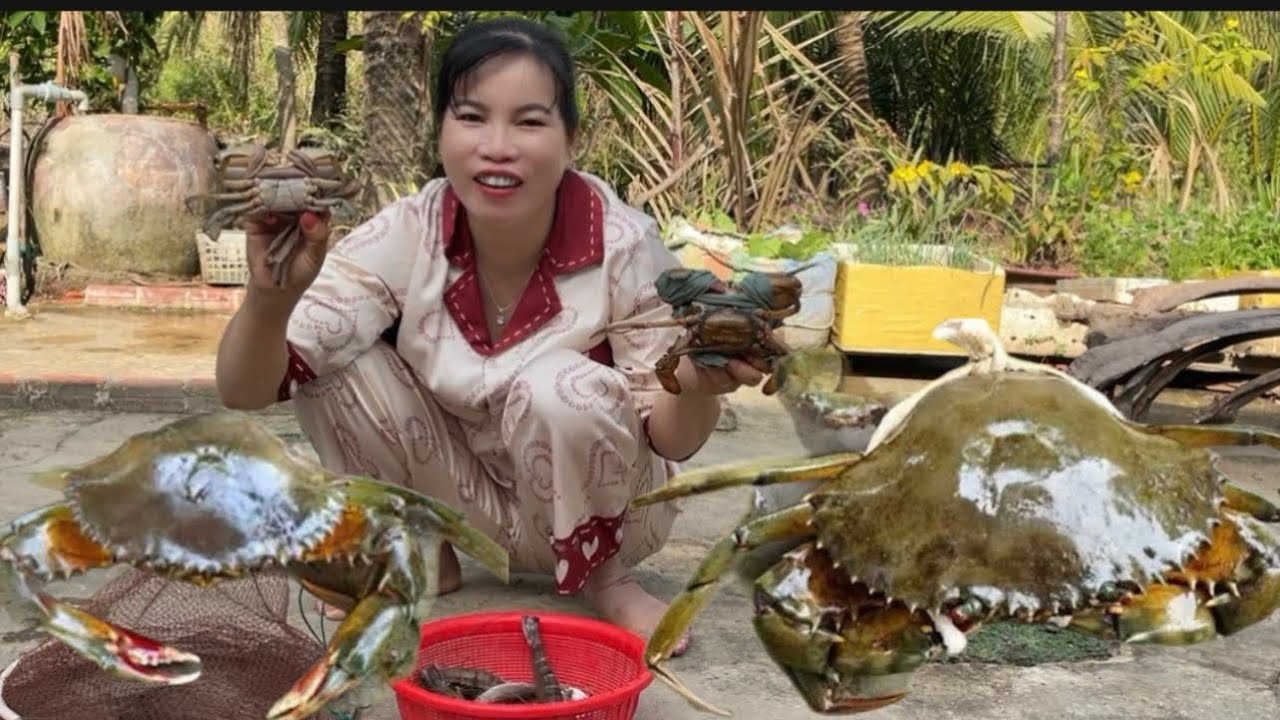 T559| Hôm nay thăm lú chạy cua gạch và tôm sú bự cuộc sống mưu sinh (CHCM)