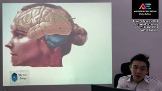 UASA Form 3 Science Chapter 1 Stimuli & Response: Nervous System, Voluntary & Involuntary Actions