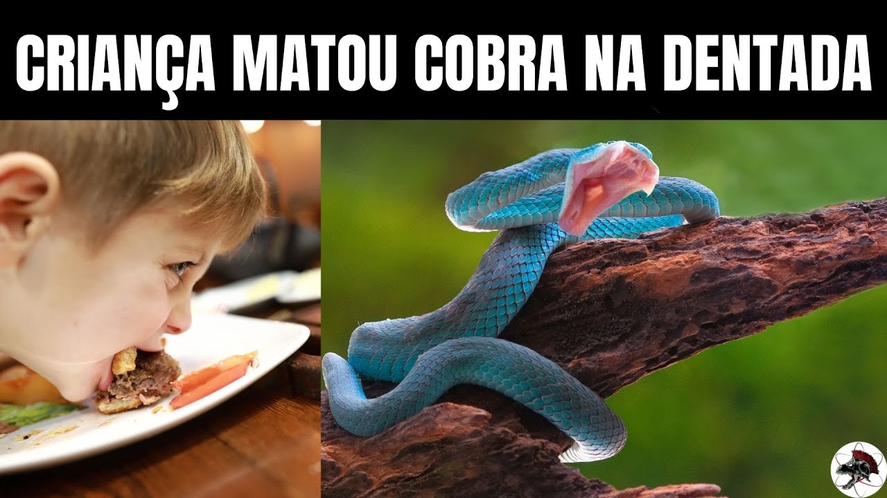 Criança Mordeu e Matou Cobra na Dentada | Biólogo Henrique o Biólogo das Cobras