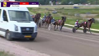 Vidéo de la course PMU PRIX TIMOKO