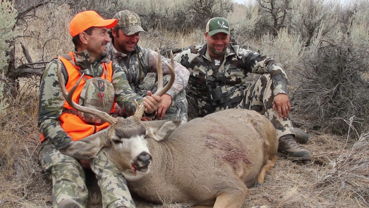 Okanogan Valley WA Mule Deer "Reap the Harvest" - YouTube