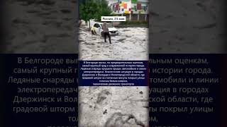 Климатические новости // 2026.05.25