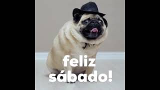 feliz sabado