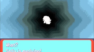 Moemon Treecko evolves into a shiny Grovyle