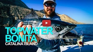 Saltwater fly fishing in southern california at catalina island. the
bonita are biting island and even hitting topwater crease
flies....stupid fun...