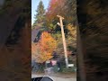 Sonbahar Bolu Abant yoluna çok yakışıyor🍂