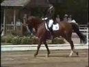 NIKOLAUS 7 & GUENTER SEIDEL GSP at 2002 WEG Select...