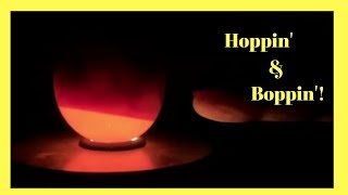 Hoppin' & Boppin'!  - Candling Eggs at 18 days