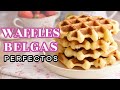 LA MEJOR RECETA DE WAFFLES O GOFRES BELGAS - AnnasPasteleria