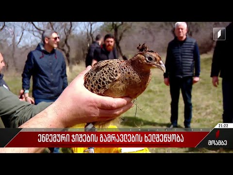 ენდემური ჯიშების გამრავლების ხელშეწყობა