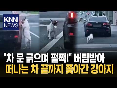 "자신 버린 줄도 모르고 끝까지…" 도로 위 차 따라 달리던 강아지 / KNN