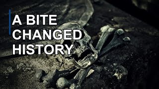Bubonic Plague: From Flea Bite to Global Upheaval