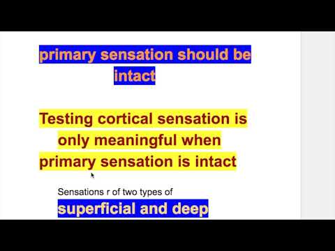 Sensory cortex function test