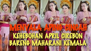 Download Lagu VIRAL√√ APRIL CIREBON BIKIN MAHARANI KEMALA KUALAHAN DISERBU SAMPAI HABIS LUDES MP3