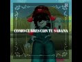 algún día me voy a ir...