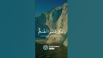 تلاوة خاشعة مريحة من سورة هُود | القارئ إسلام صبحي | ارح قلبك 😢💙