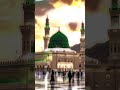 Hara gumad #sorhts #video