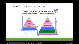 Trauma Informed Practices in Schools: Considerations for Educators