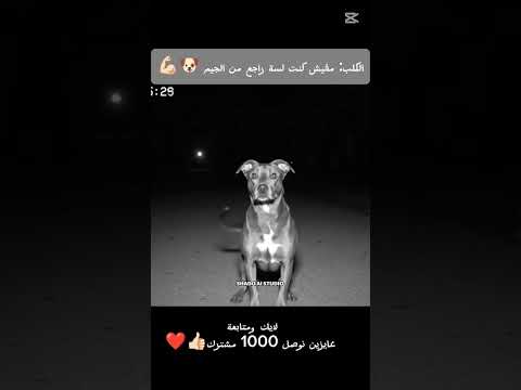لسه راجع من الچيم هتضحك ضحك 